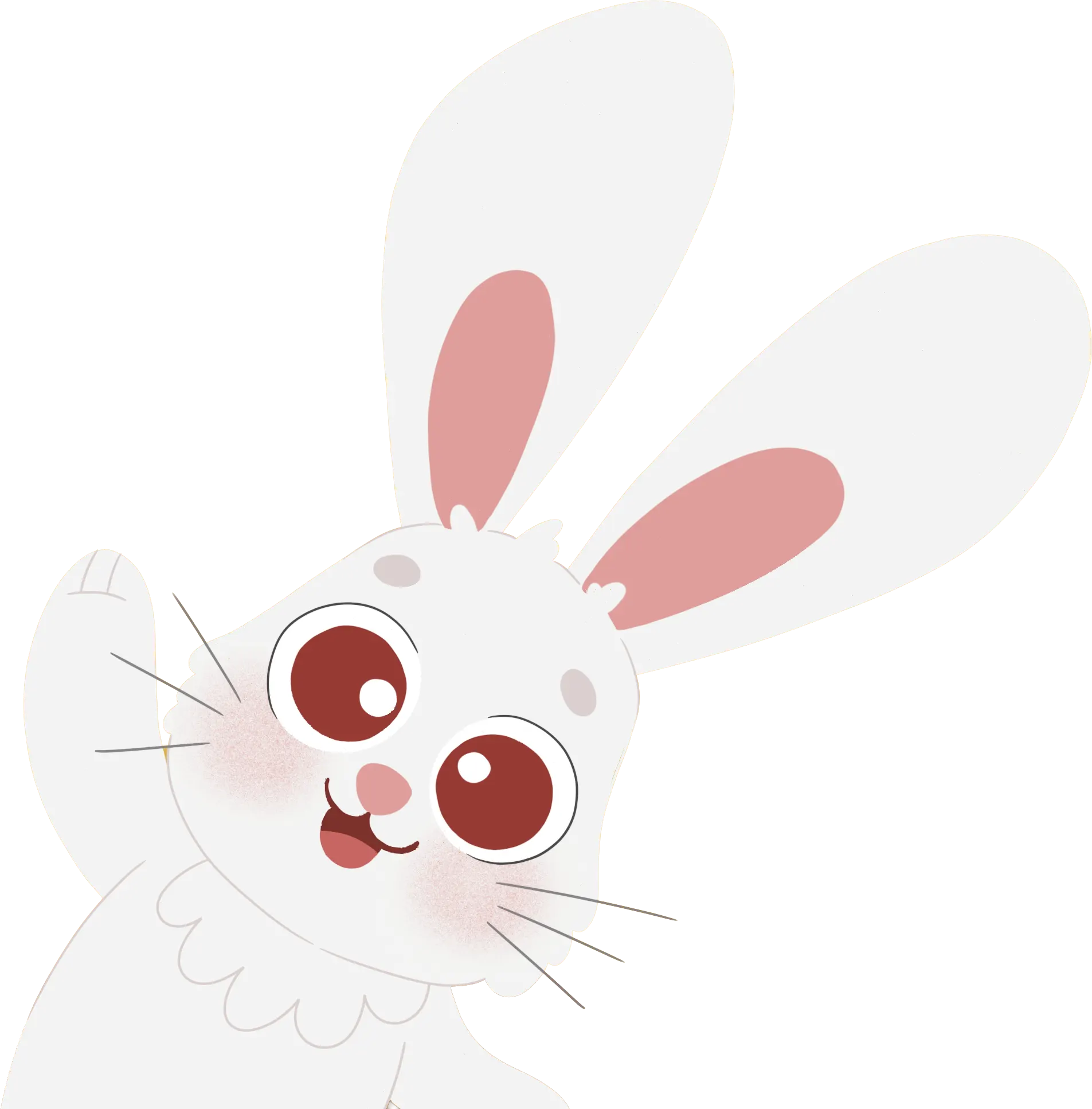 Cocó el conejo mágico